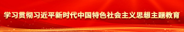 操人视频网学习贯彻习近平新时代中国特色社会主义思想主题教育