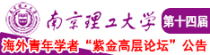 插学生妹在线南京理工大学第十四届海外青年学者紫金论坛诚邀海内外英才！